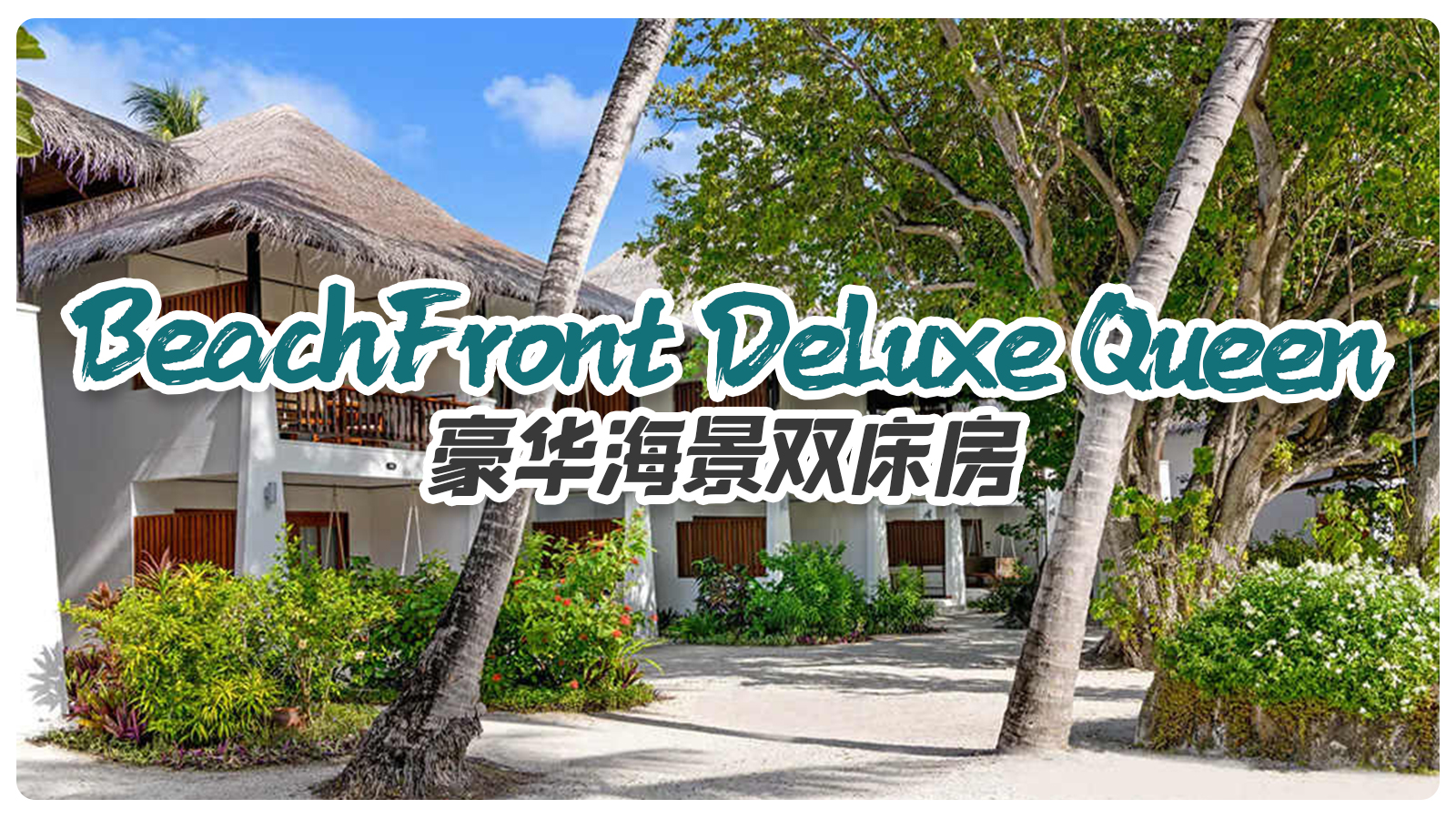 BeachFront Deluxe Queen